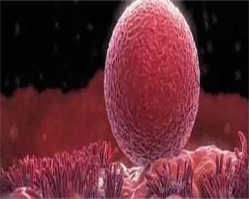 合肥代生网供卵,合肥试管婴儿*后减胎要多少钱（合肥试管婴儿医院*率排名）