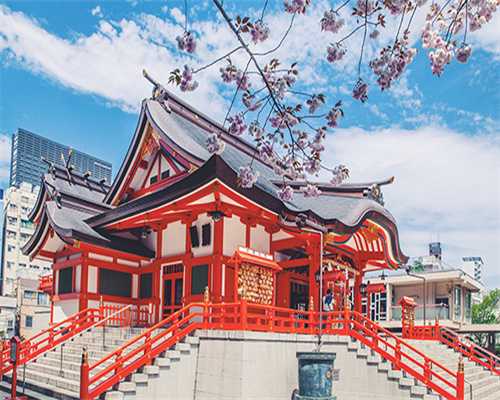 安徽三代试管婴儿的费用是多少安徽做供卵三代试管婴儿多少钱