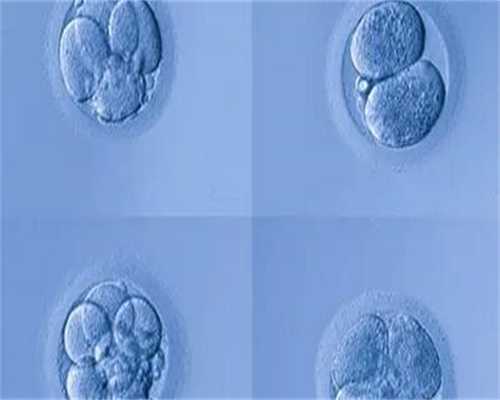 代生公司价格-哺乳期感冒能吃头孢吗 吃头孢是否影响精子质量