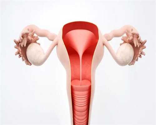 宁波三代哪个代生机构好三代哪个代生机构好价格一览