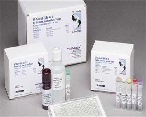 借卵上海代生_有没代妈公司, 囊胚移植后着床失败生化妊娠一般什么