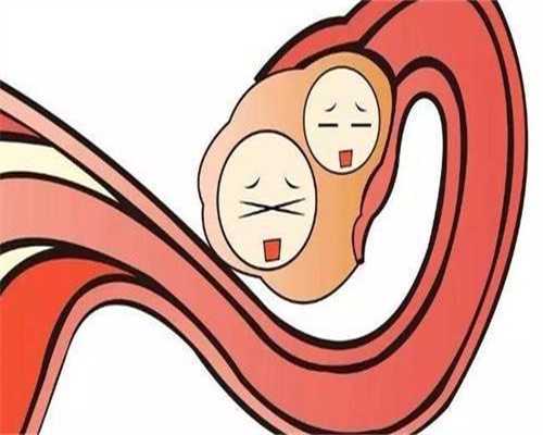 60万包生男孩_包代生孩子多少钱,卵泡长不大可以做试管吗女性 卵泡长不大可以