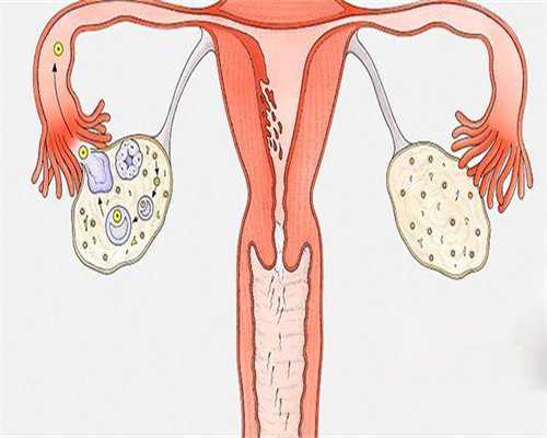 41岁闭经了可以做私人借卵代怀公司看闭经原因？内附私人借卵代怀公司流程！
