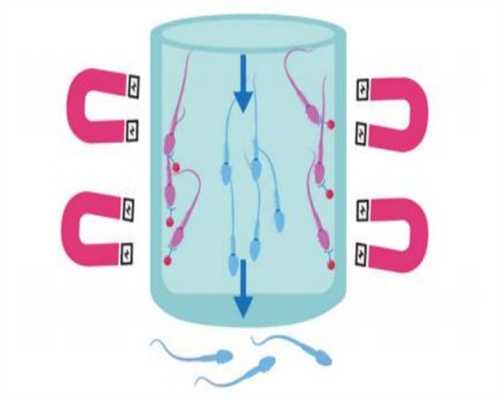 权威助孕医院-囊胚移植雌二醇孕酮在下降正不正常？囊胚移植雌二醇孕酮在下降什么原因？