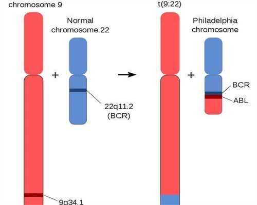 2026在合肥进行一次不孕不育检查需要多少钱？