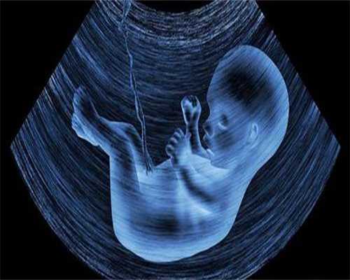 绍兴公立医院做代生的具体流程费用及成功率一览？代生的具体流程价格公布！