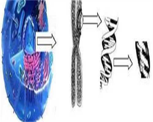 做试管夫妻俩检查费用是多少？做试管夫妻双方检查什么？