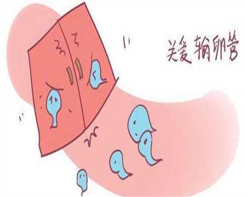 为啥代生孩子机构网都是保存2个冻胚是成功率高吗？代生孩子机构网放2个冻胚