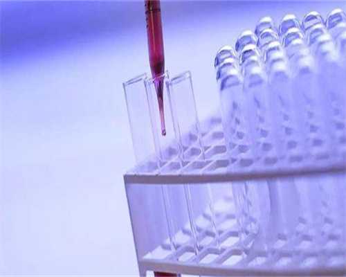 代生全程价格中第三天的冻胚和第五天的囊胚有什么区别？ 