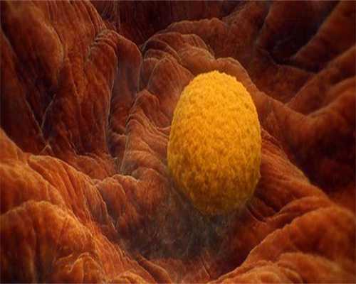 三代专业代生孩子冷冻会不会影响婴儿〖三代专业代生孩子冻胚〗